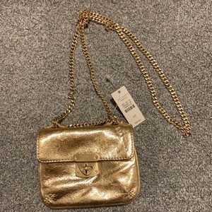 Gold purse with long gold chain.